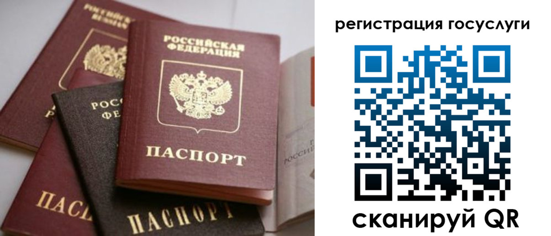 пропишу в квартире в Липецкая области